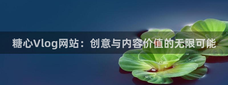 糖心vlog网址：糖心Vlog网站：创意与内容价值的无限可能