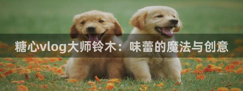 糖心vlog老版下载：糖心vlog大师铃木：味蕾的魔法与创意