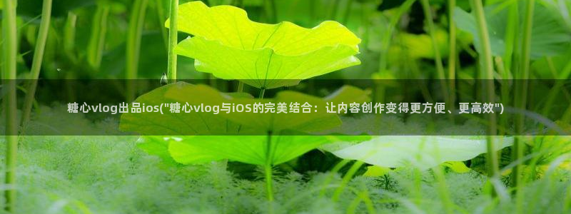 糖心vlog老板：糖心vlog出品ios(\