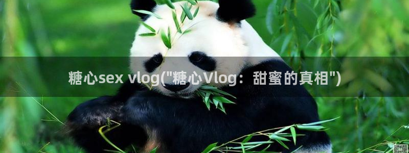 糖心vlog 鸡教练:糖心sex vlog(\