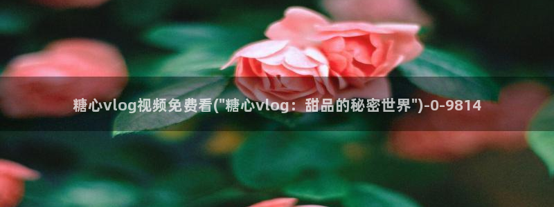糖心vlog更衣人偶：糖心vlog视频免