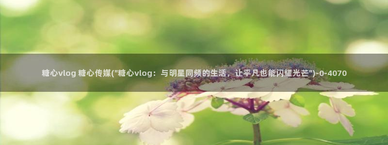 糖心vlog诈骗：糖心vlog 糖心传媒(\