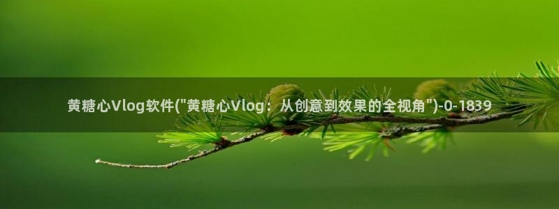 #NAME?：黄糖心Vlog软件(\