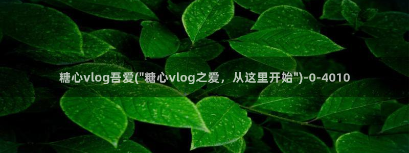 糖心精选vlog：糖心vlog吾爱(\