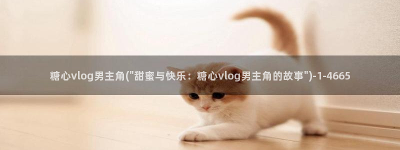 美杜莎 糖心Vlog：糖心vlog男主角(\