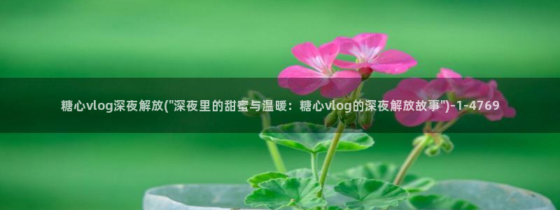 糖心唐伯虎vlog：糖心vlog深夜解放(\