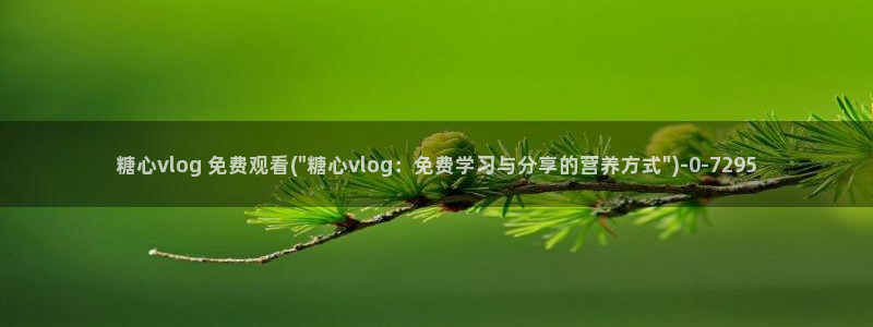 糖心vlog小桃 路人:糖心vlog 免费观看(\