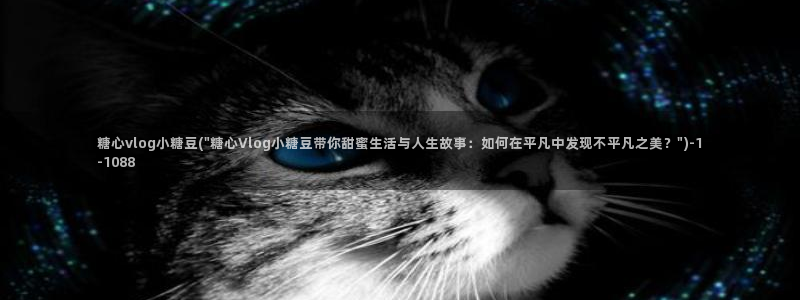 糖心vlog2021：糖心vlog小糖豆(\