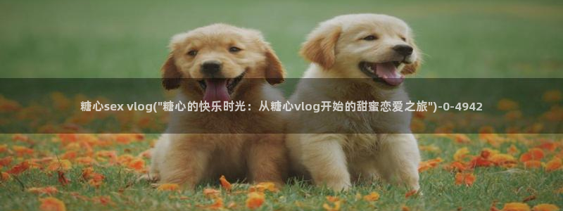 糖心vlog产:糖心sex vlog(\